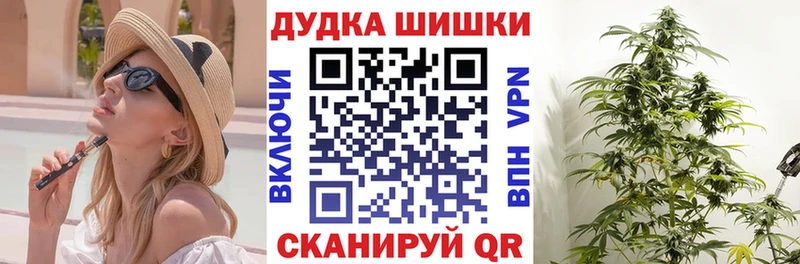 наркота  MEGA как зайти  Бошки Шишки ГИДРОПОН  Артём 